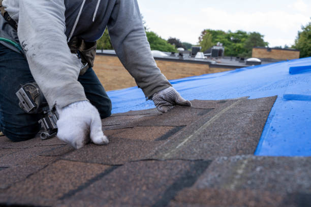Best Flat Roof Repair Services  in Muskegon, MI