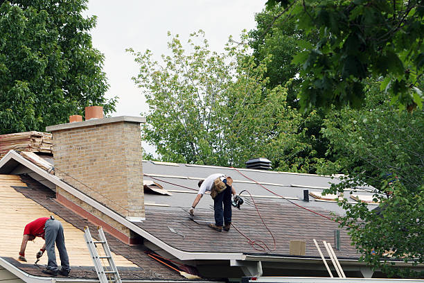 Best Metal Roofing Contractor  in Muskegon, MI
