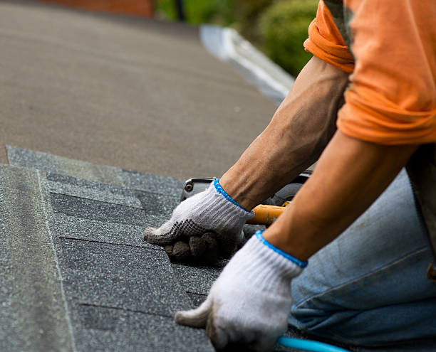 Best Storm Damage Roof Repair  in Muskegon, MI