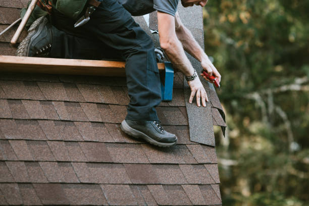 Best Roof Gutter Cleaning  in Muskegon, MI